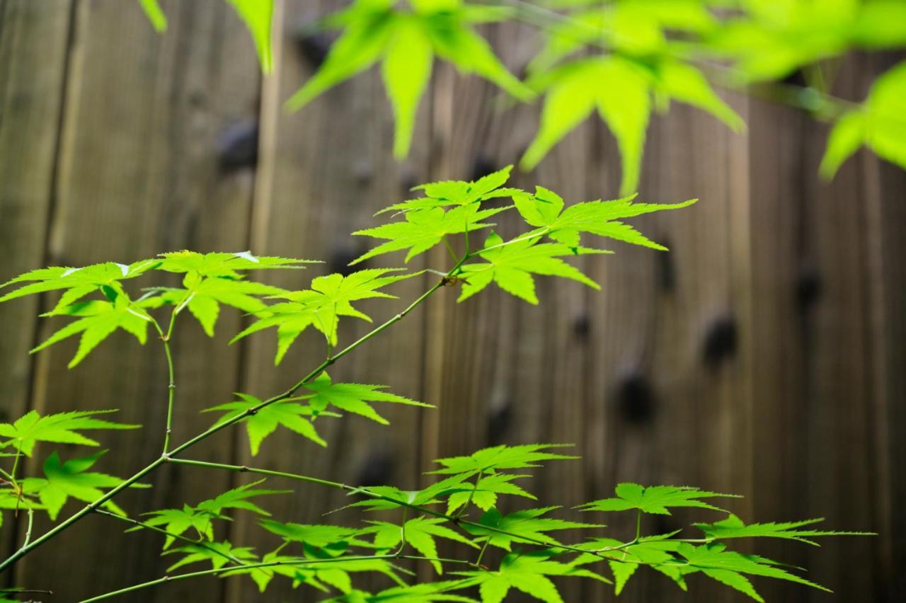 京都弎京匯（Sankyokai）别墅 外观 照片
