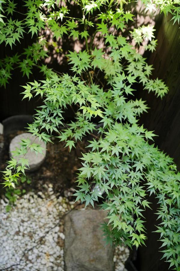 京都弎京匯（Sankyokai）别墅 外观 照片